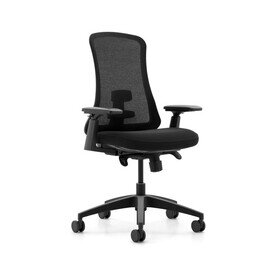 S-Chair Mid Back